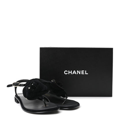 Chanel Velvet Pearl Camellia Thong Sandals 37.5 Black 10 of 10