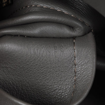 Louis Vuitton Monogram Suede Embossed Wish Kohl 7 of 7