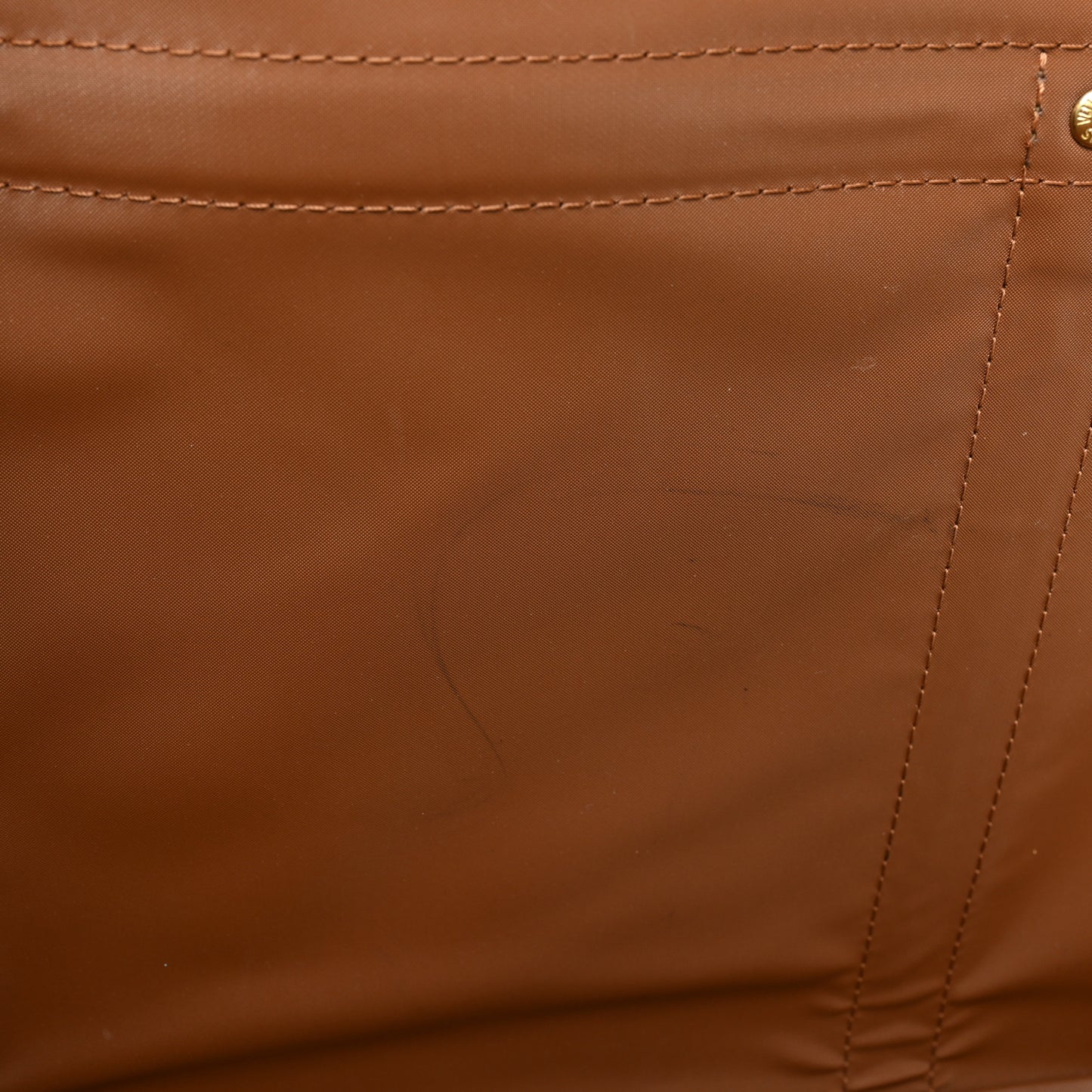 Monogram Sac Chien 40 Pet Carrier