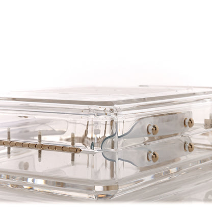 Chanel Transluscent Plexiglass Perfume Bottle Clutch 9 of 10