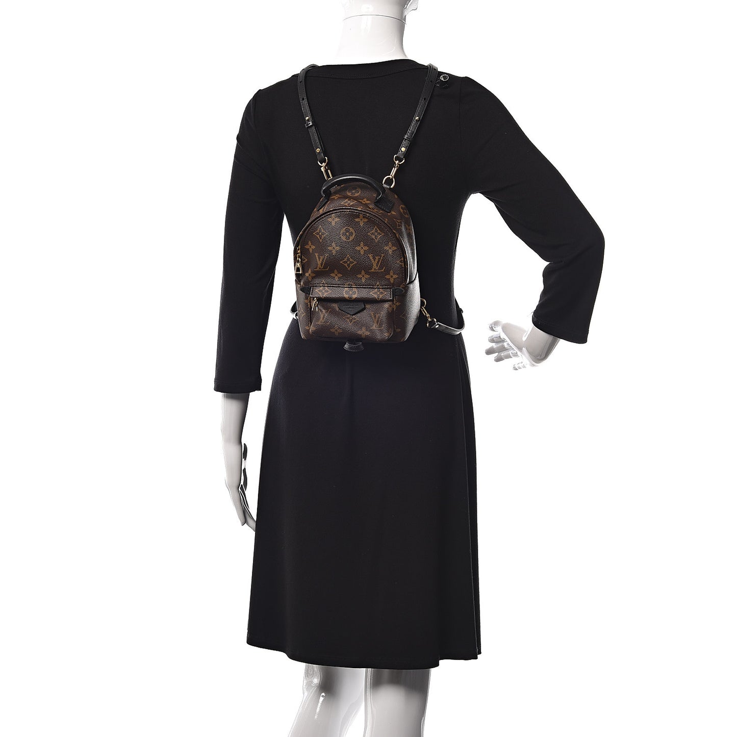 Monogram Palm Springs Backpack Mini