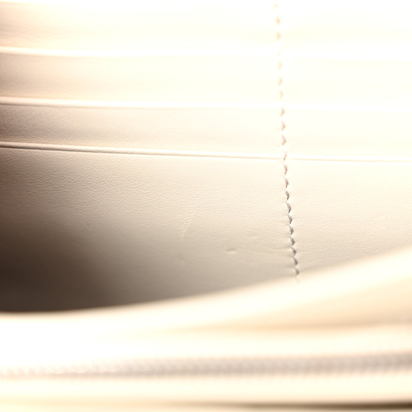 Watersnake Mini Dionysus Chain Wallet