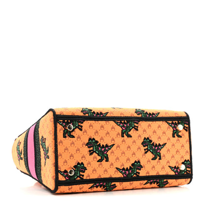 Christian Dior Canvas Embroidered Dino Medium Lady D-Lite Orange Multicolor 4 of 13
