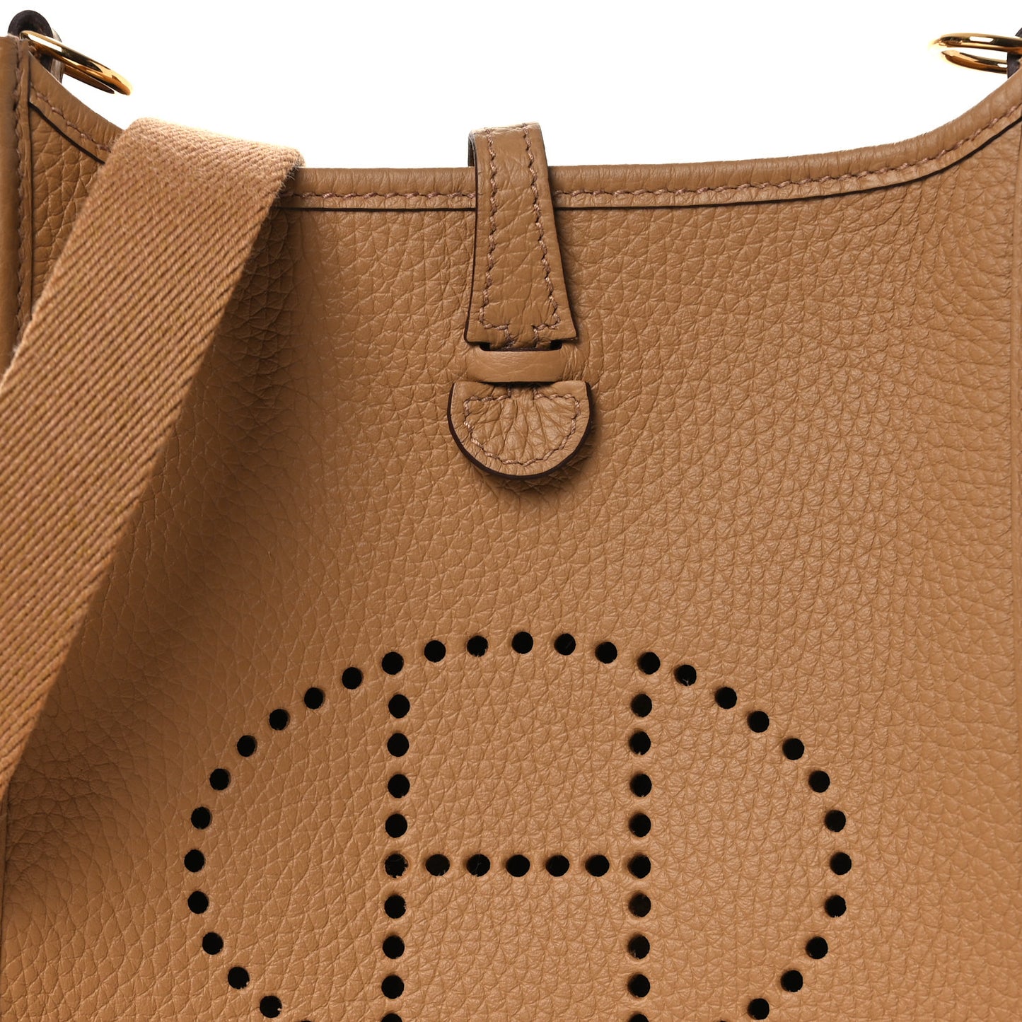 Taurillon Clemence Evelyne TPM Biscuit