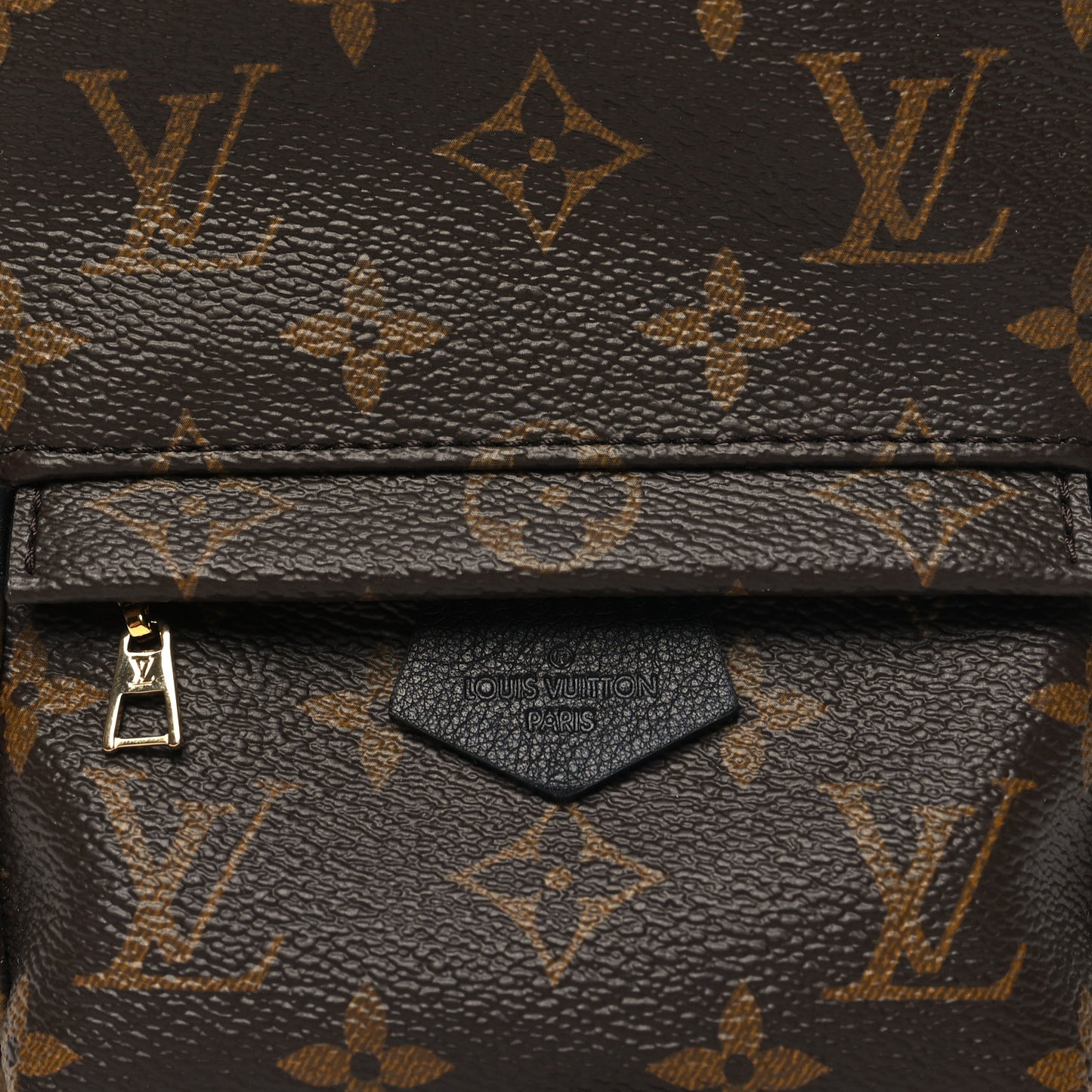 Monogram Palm Springs Backpack Mini