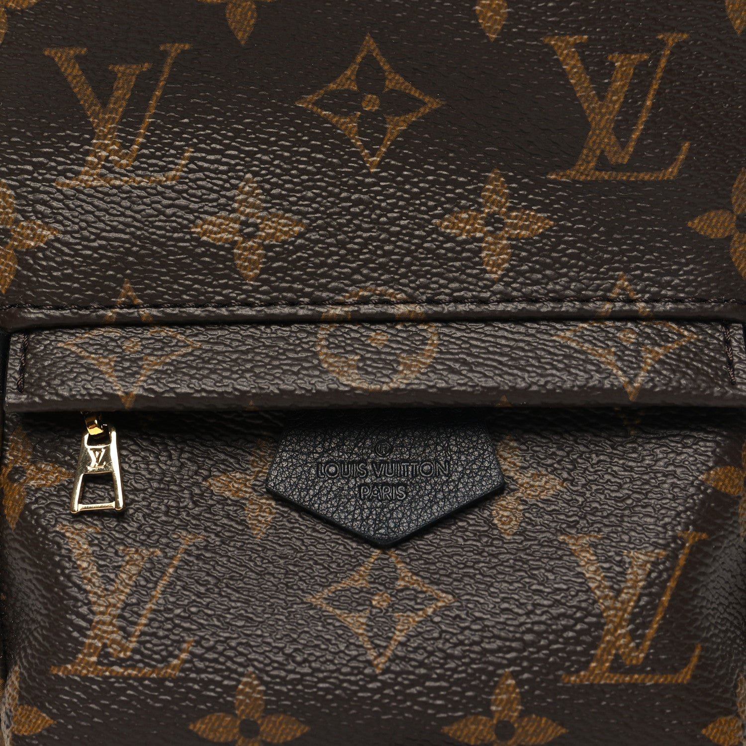 Louis Vuitton Monogram Palm Springs Backpack Mini 7 of 10