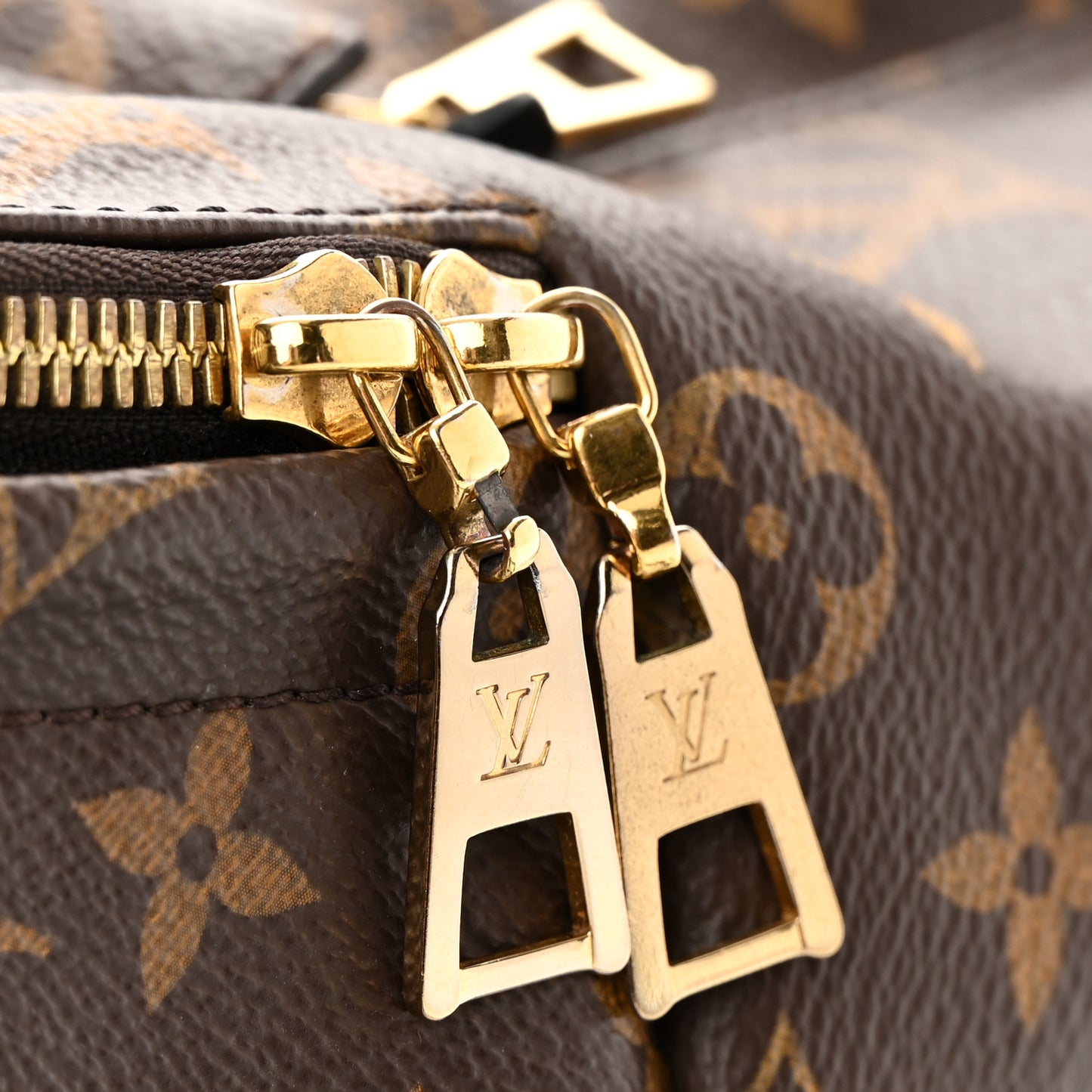 Monogram Palm Springs Backpack MM