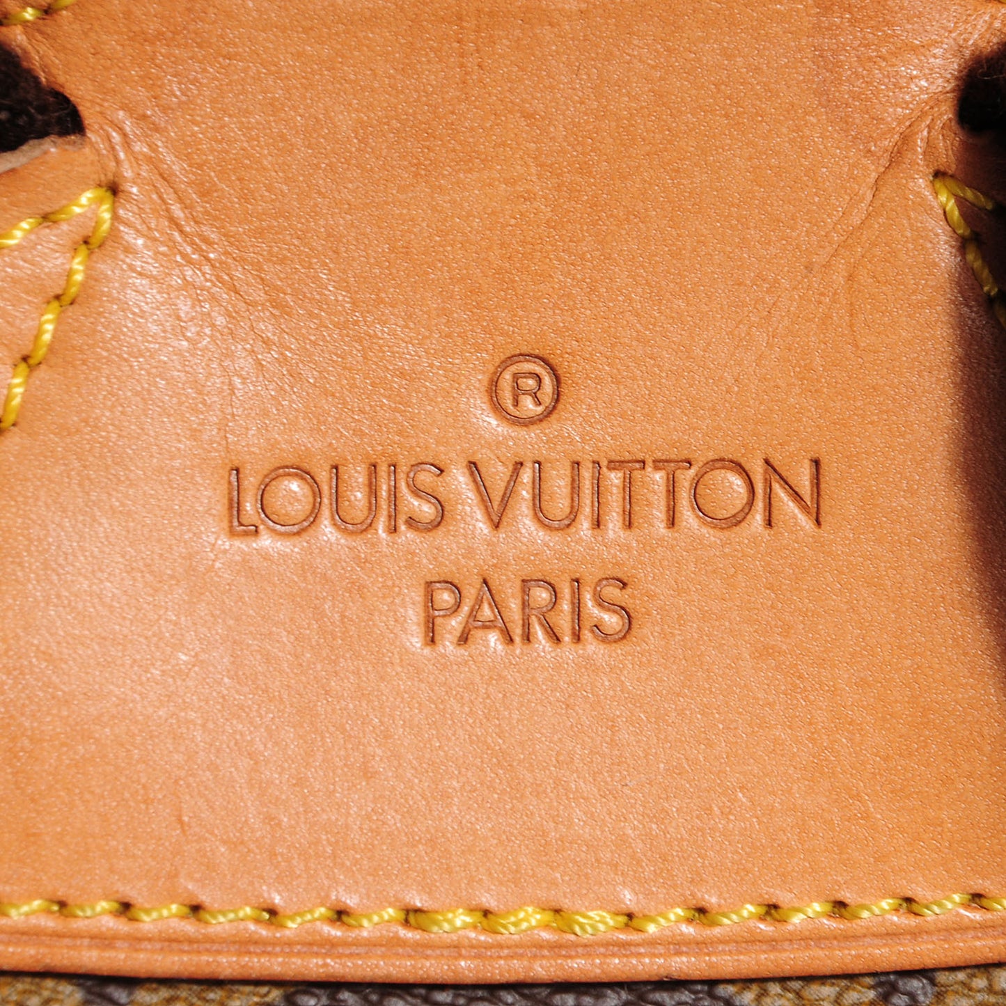 Monogram Montsouris GM Backpack