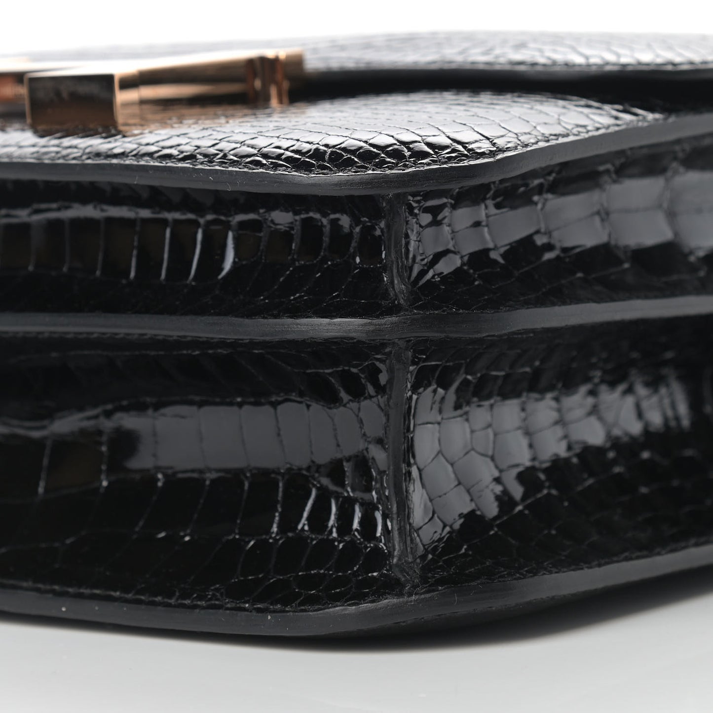 Shiny Porosus Crocodile Constance 24 Black