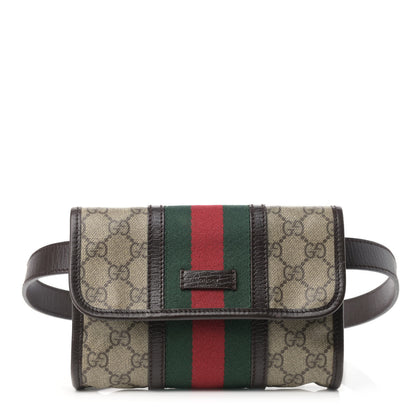 Gucci GG Monogram Plus Web Belt Bag Dark Brown 1 of 10