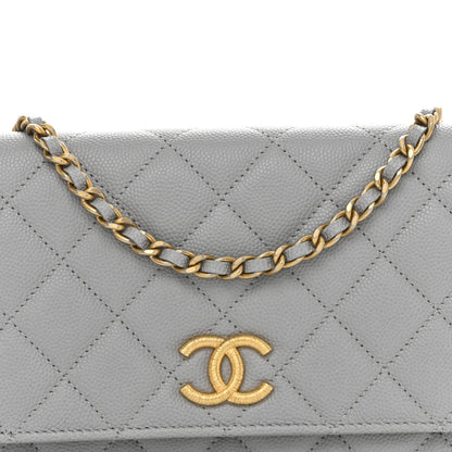 Chanel Caviar Quilted Textured CC Wallet On Chain WOC Grey 9 of 11