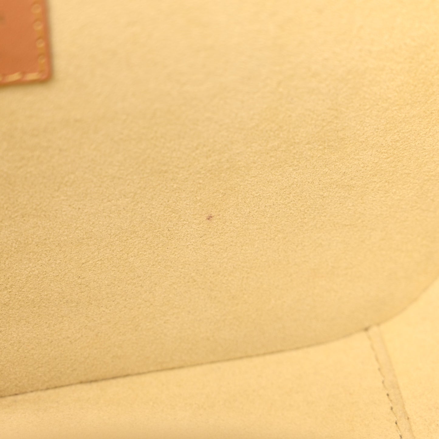 Monogram Valisette PM