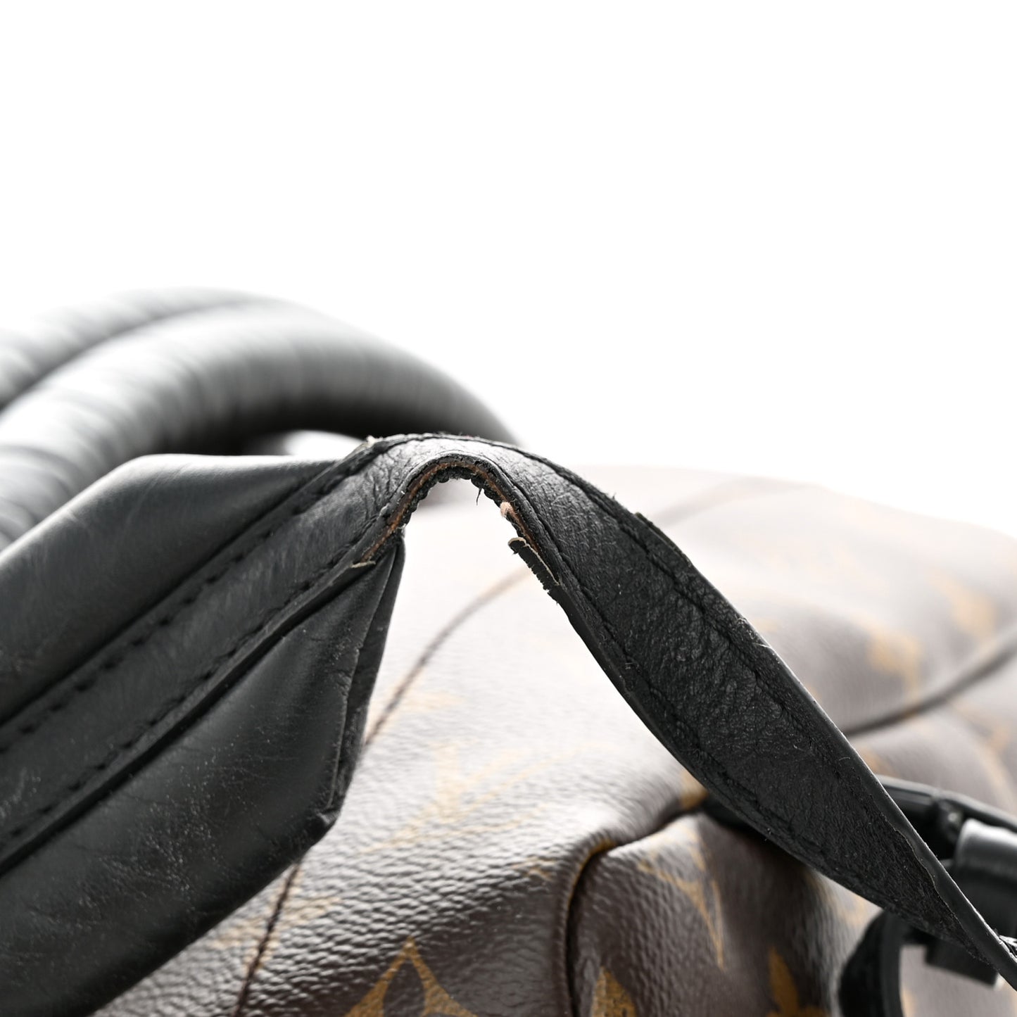 Monogram Palm Springs Backpack MM