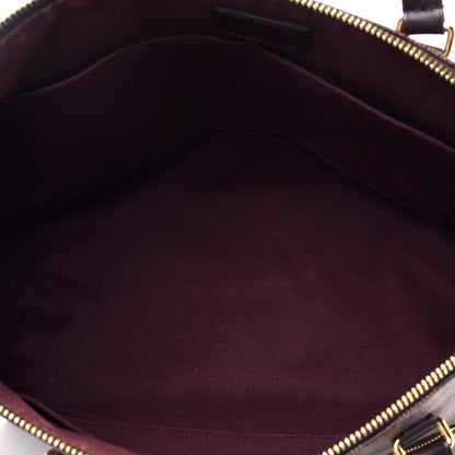 Louis Vuitton Damier Ebene Iena PM 5 of 9