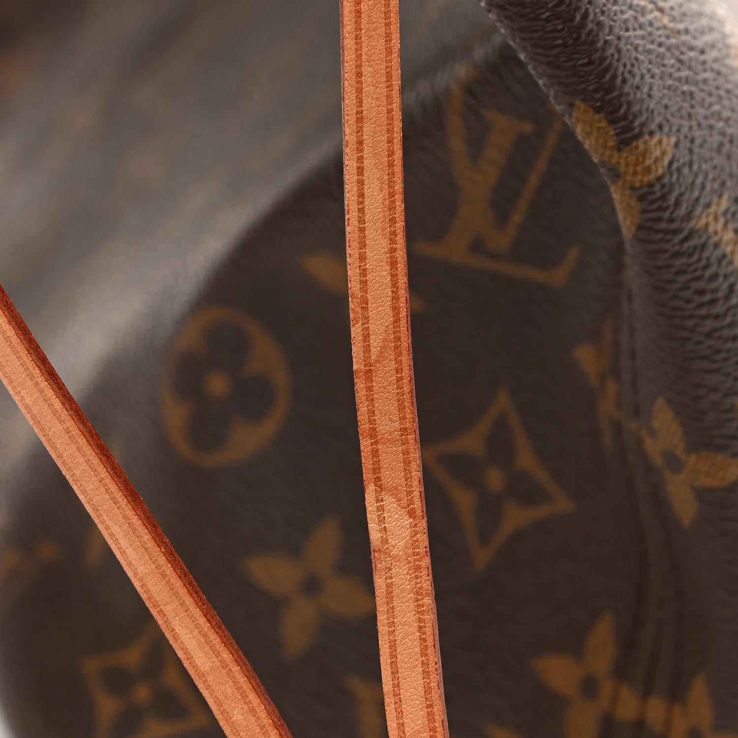 Louis Vuitton Monogram Neo Neverfull MM Pivoine 13 of 13