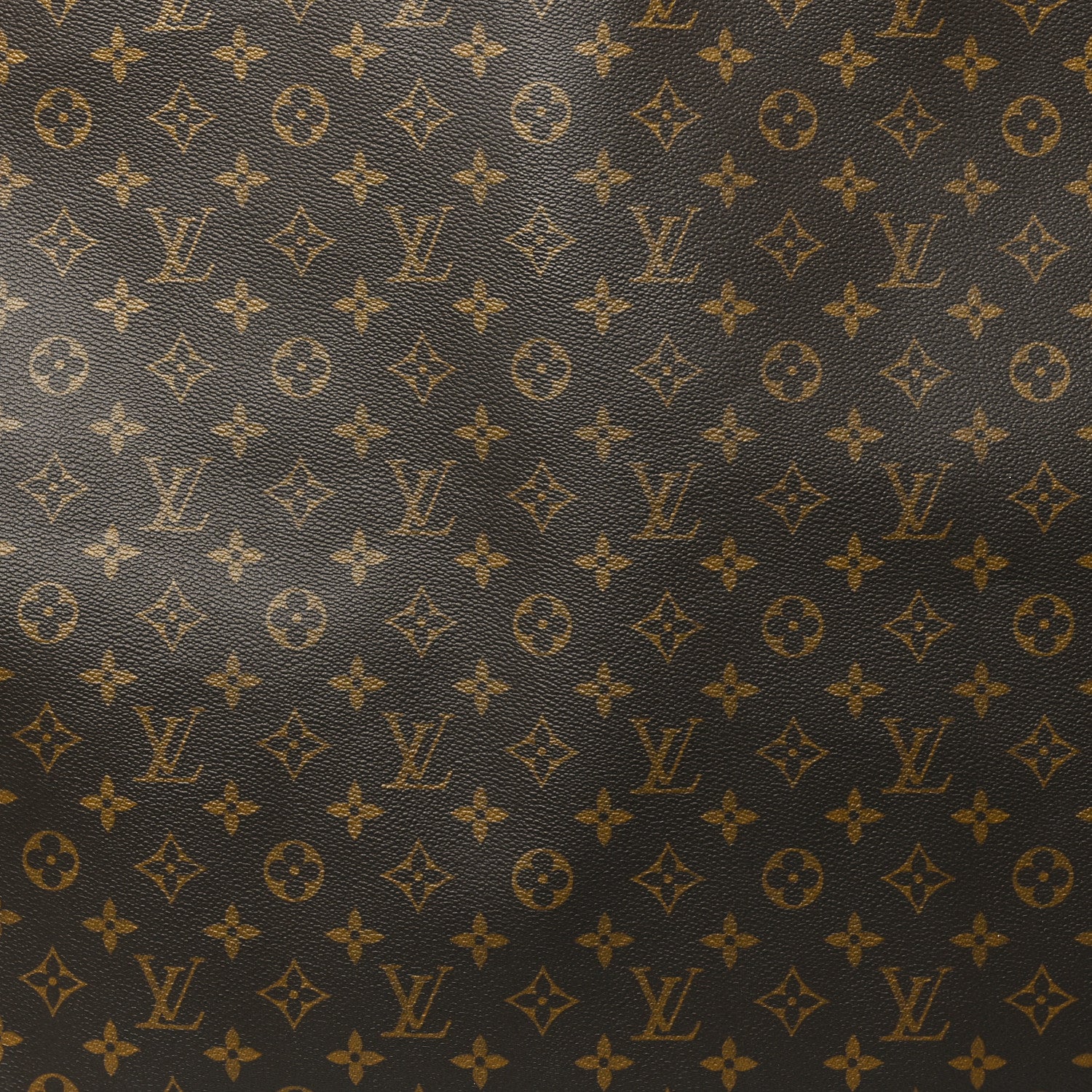 Louis Vuitton Monogram Garment Cover 6 of 8