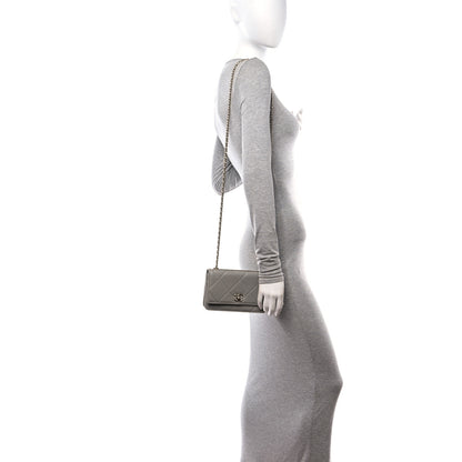 Chanel Lambskin Quilted Trendy CC Wallet On Chain WOC Grey 2 of 11