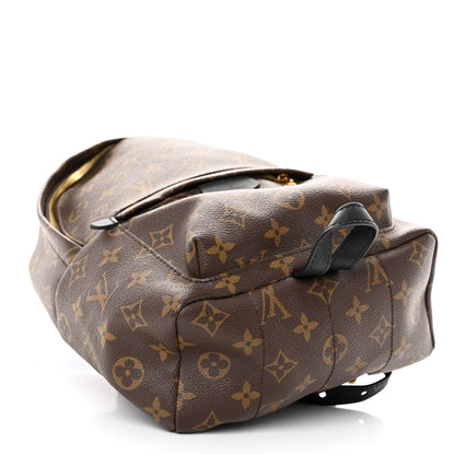 Louis Vuitton Monogram Palm Springs Backpack PM 4 of 14