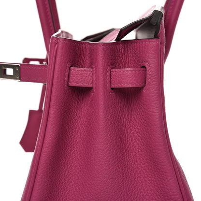 Hermes Togo Birkin 25 Rose Pourpre 31 of 36