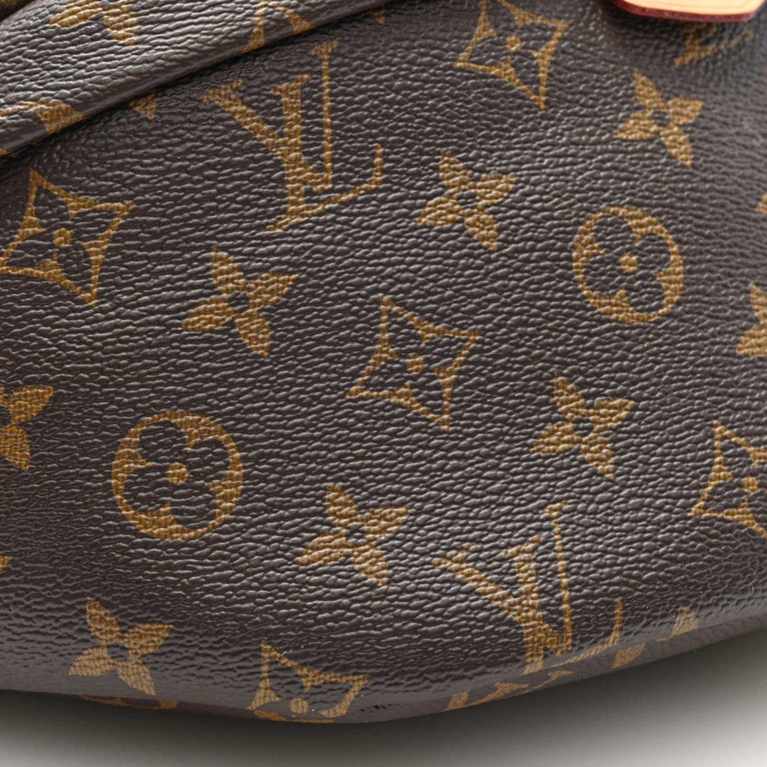Louis Vuitton Monogram Bumbag 8 of 9