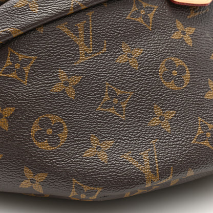 Louis Vuitton Monogram Bumbag 8 of 9