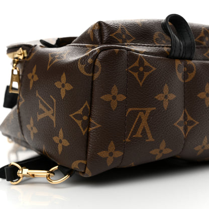 Louis Vuitton Monogram Palm Springs Backpack Mini 8 of 10