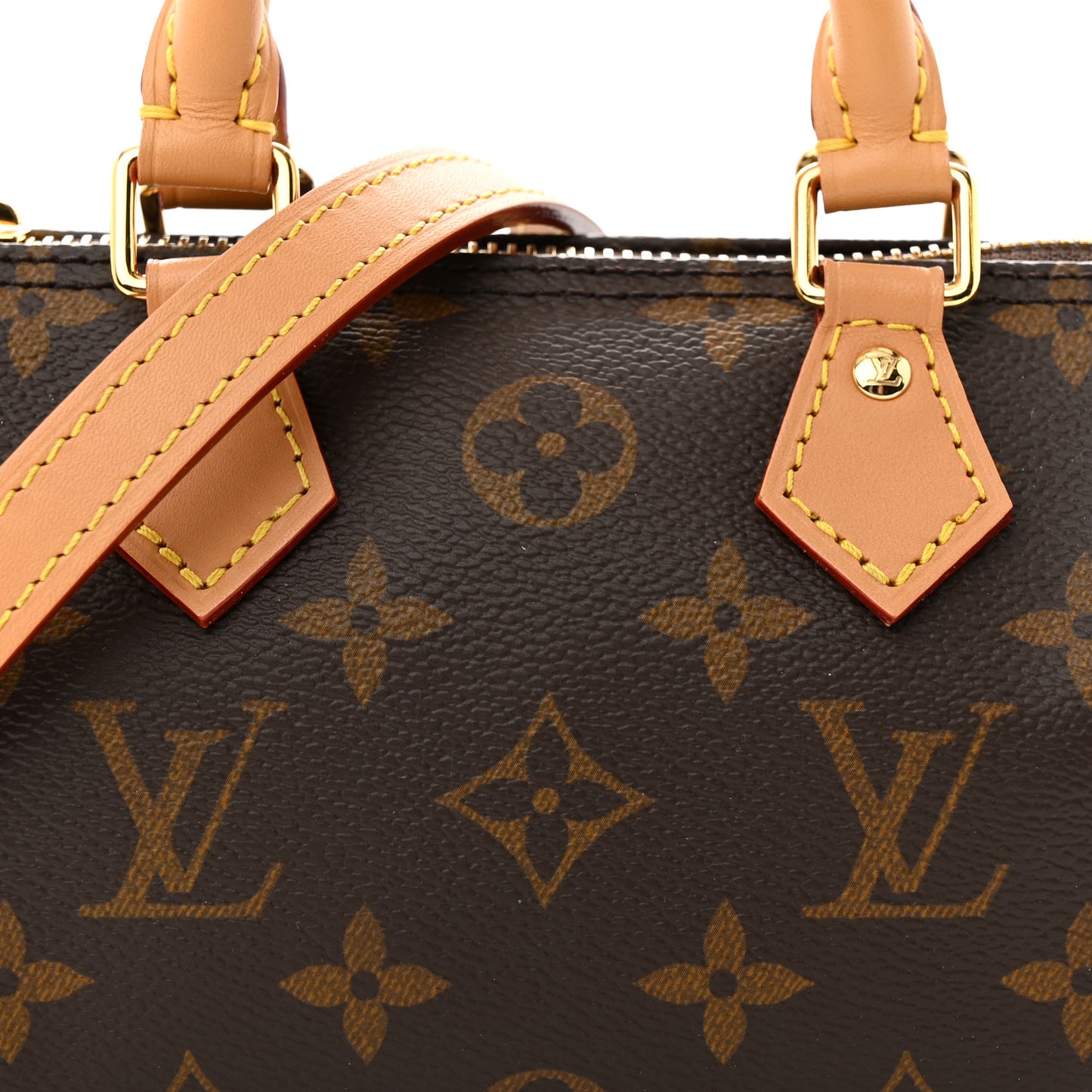 Monogram Nano Speedy Bandouliere