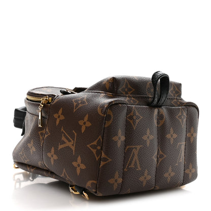 Louis Vuitton Monogram Palm Springs Backpack Mini 4 of 9