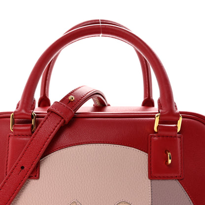 Loewe X SPIRITED AWAY Calfskin Bo Mouse Amazona 19 Red 7 of 9