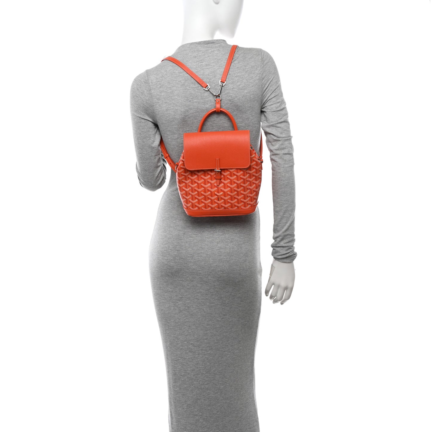 Goyardine Calfskin Mini Alpin Backpack Orange
