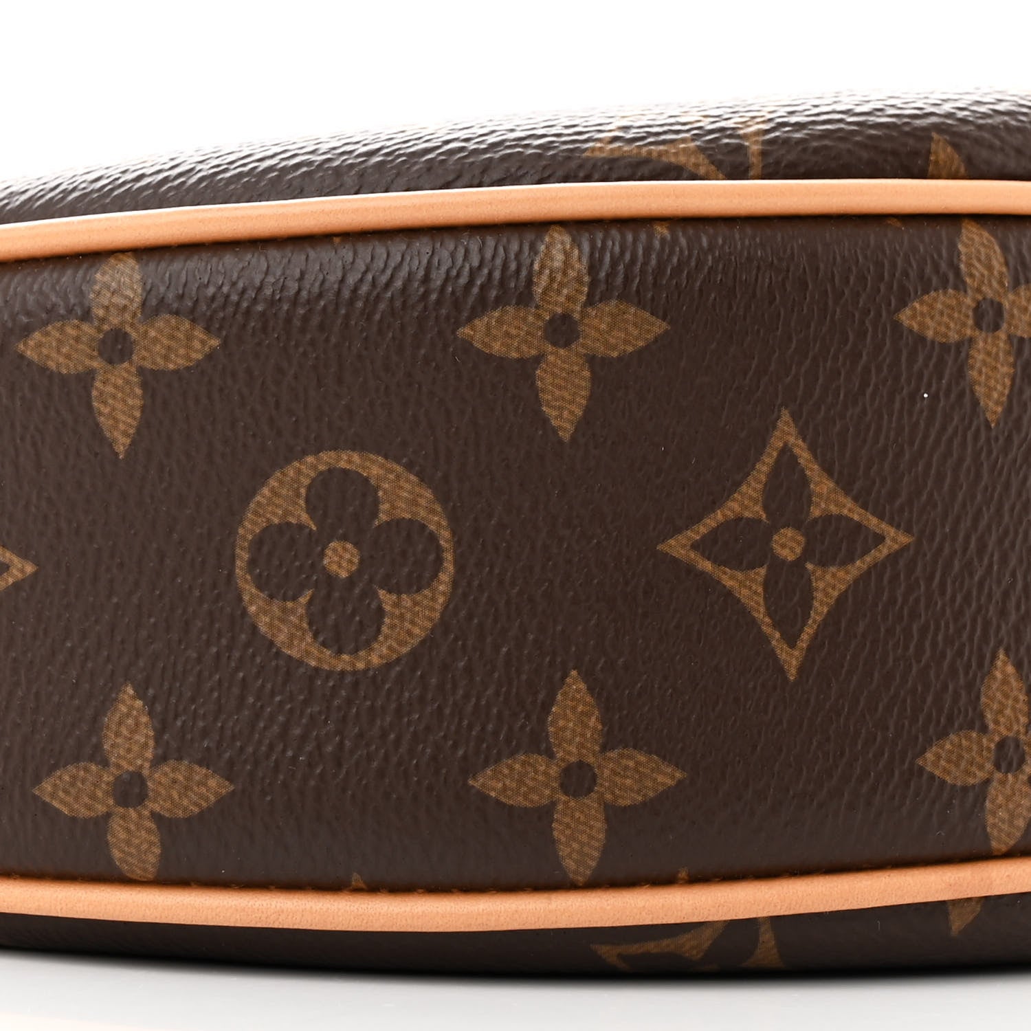 Louis Vuitton Monogram Loop 8 of 10