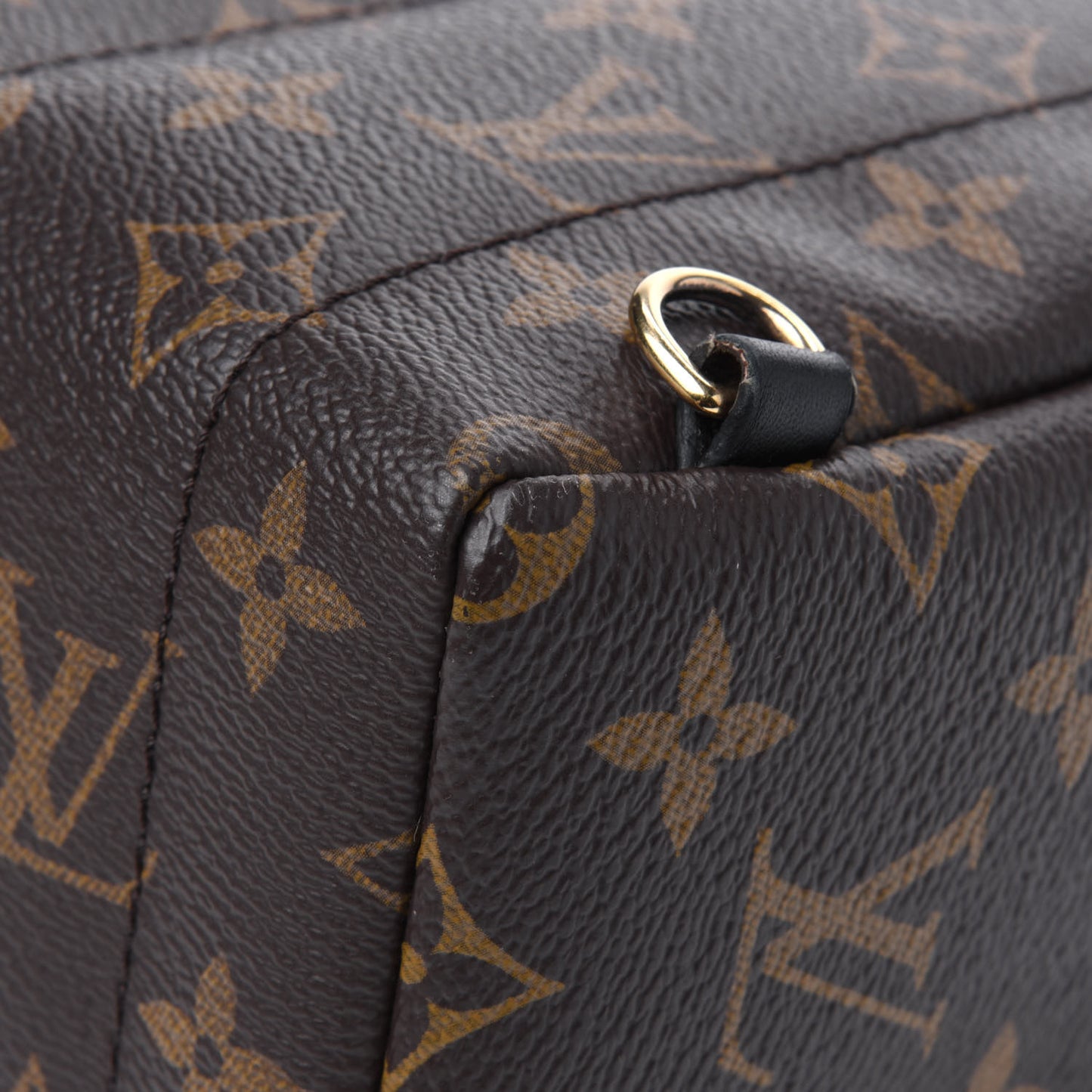 Monogram Palm Springs Backpack Mini