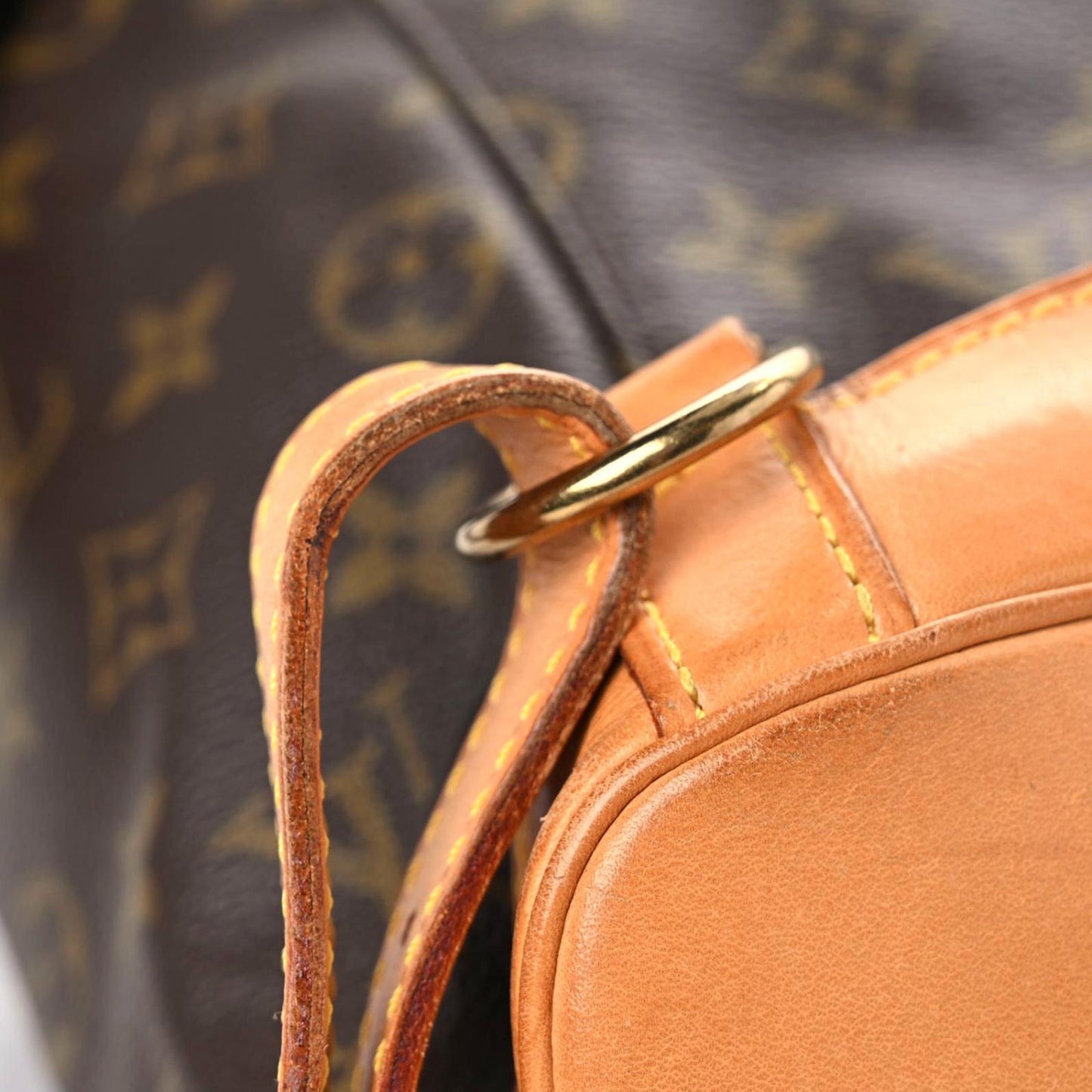 Monogram Montsouris GM Backpack
