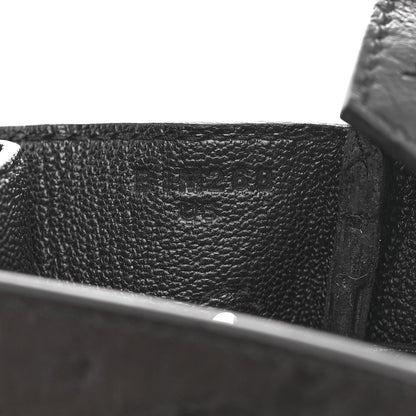 Hermes Ostrich Birkin 30 Black 7 of 11