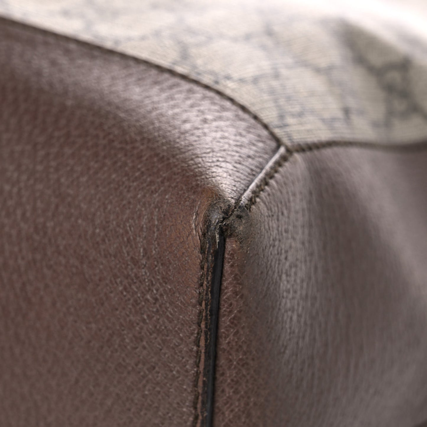 GG Supreme Monogram Web Ophidia Tote Brown