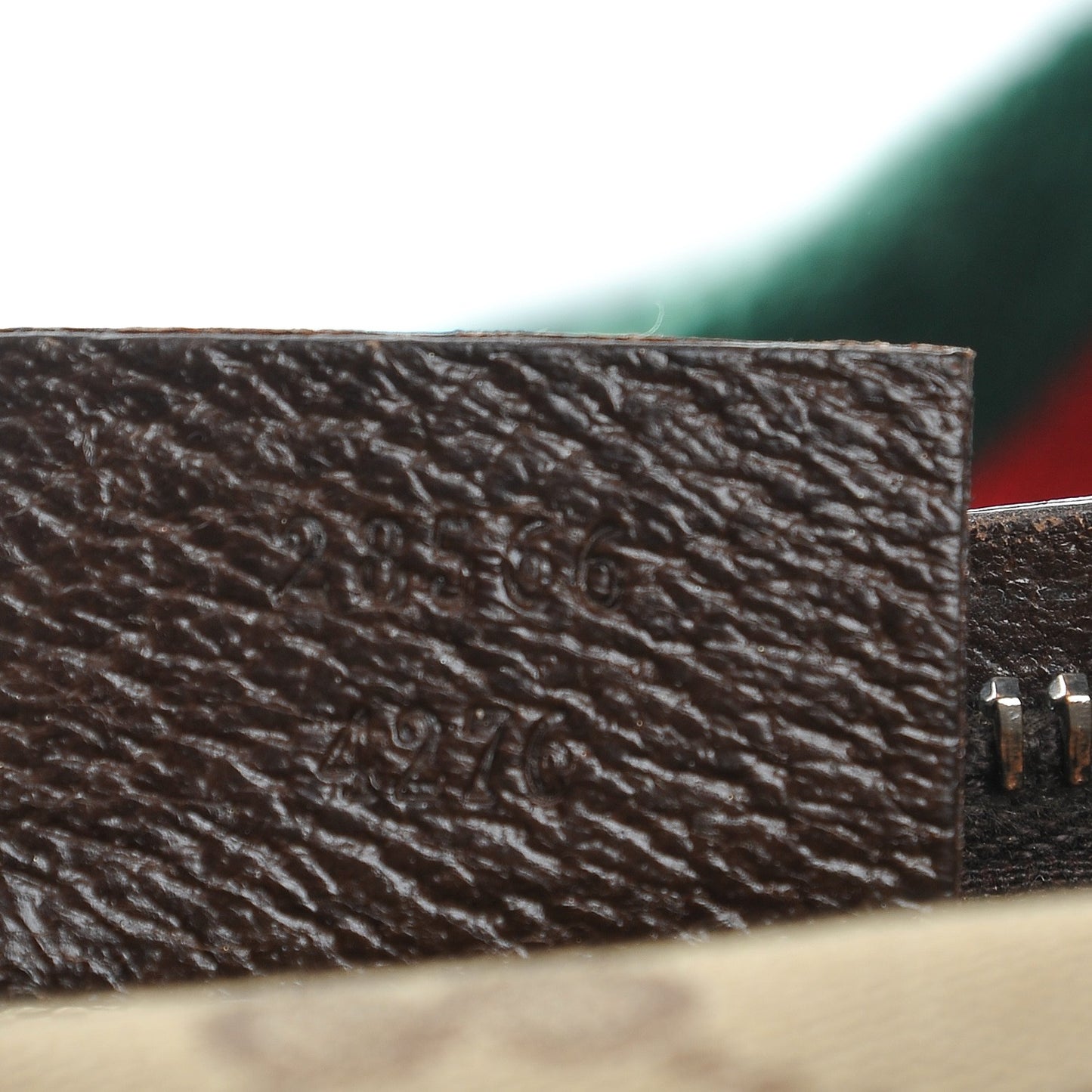 Monogram Web Belt Bag Dark Brown