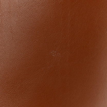 Celine Smooth Calfskin Bucket 16 Bag Tan 17 of 17