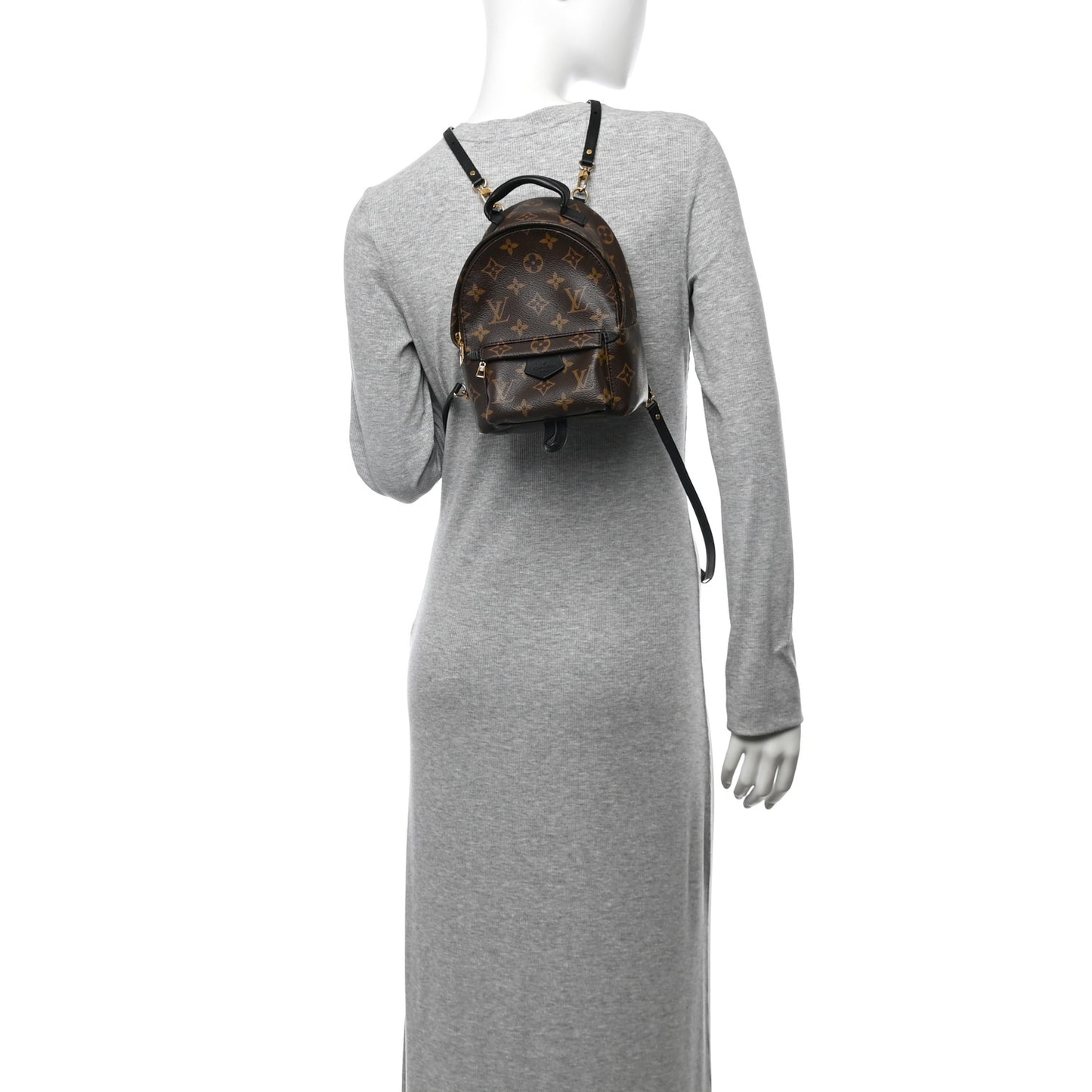 Monogram Palm Springs Backpack Mini