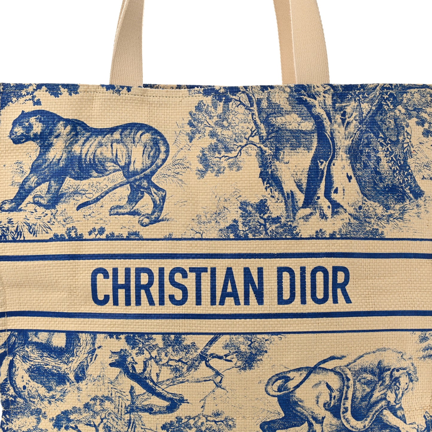 Straw Dioriviera Tote Beige