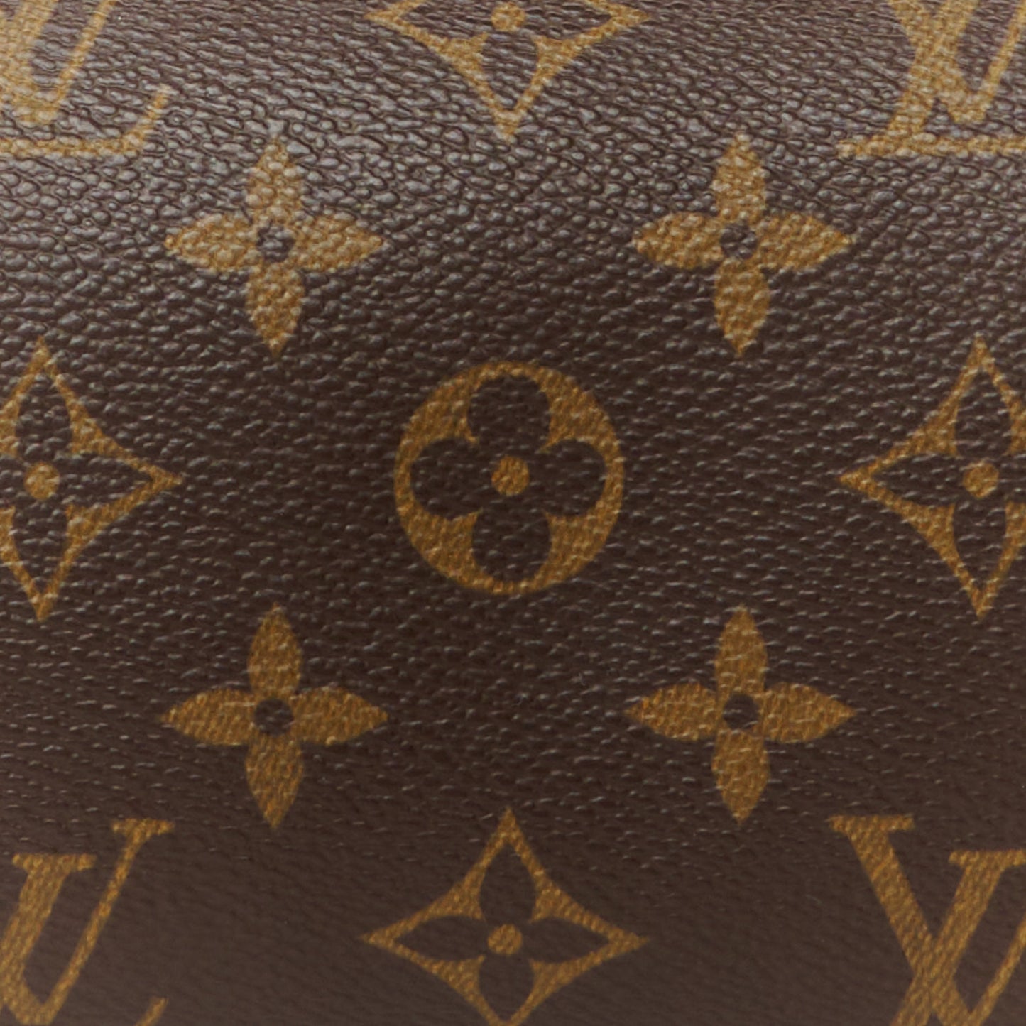 Monogram Papillon 26