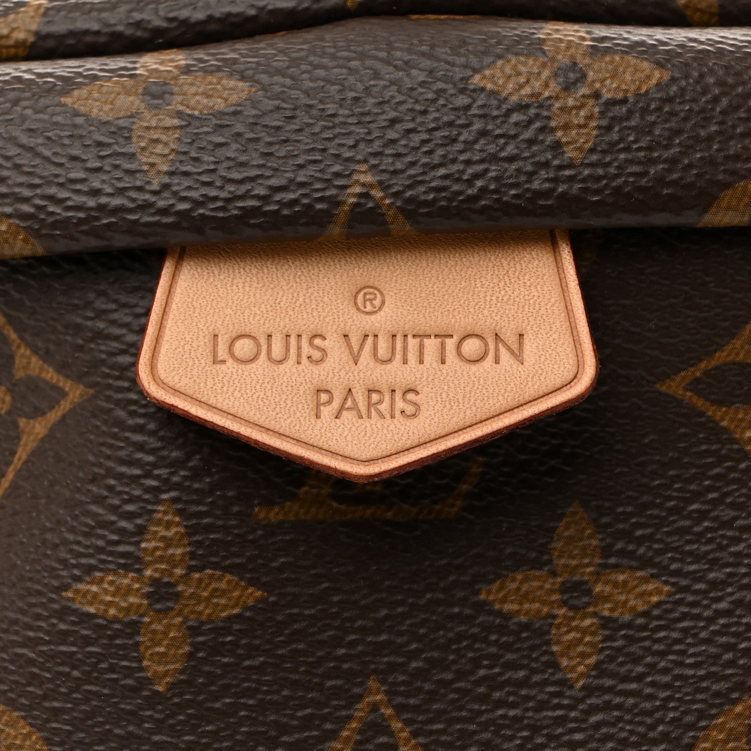 Louis Vuitton Monogram Bumbag 12 of 27