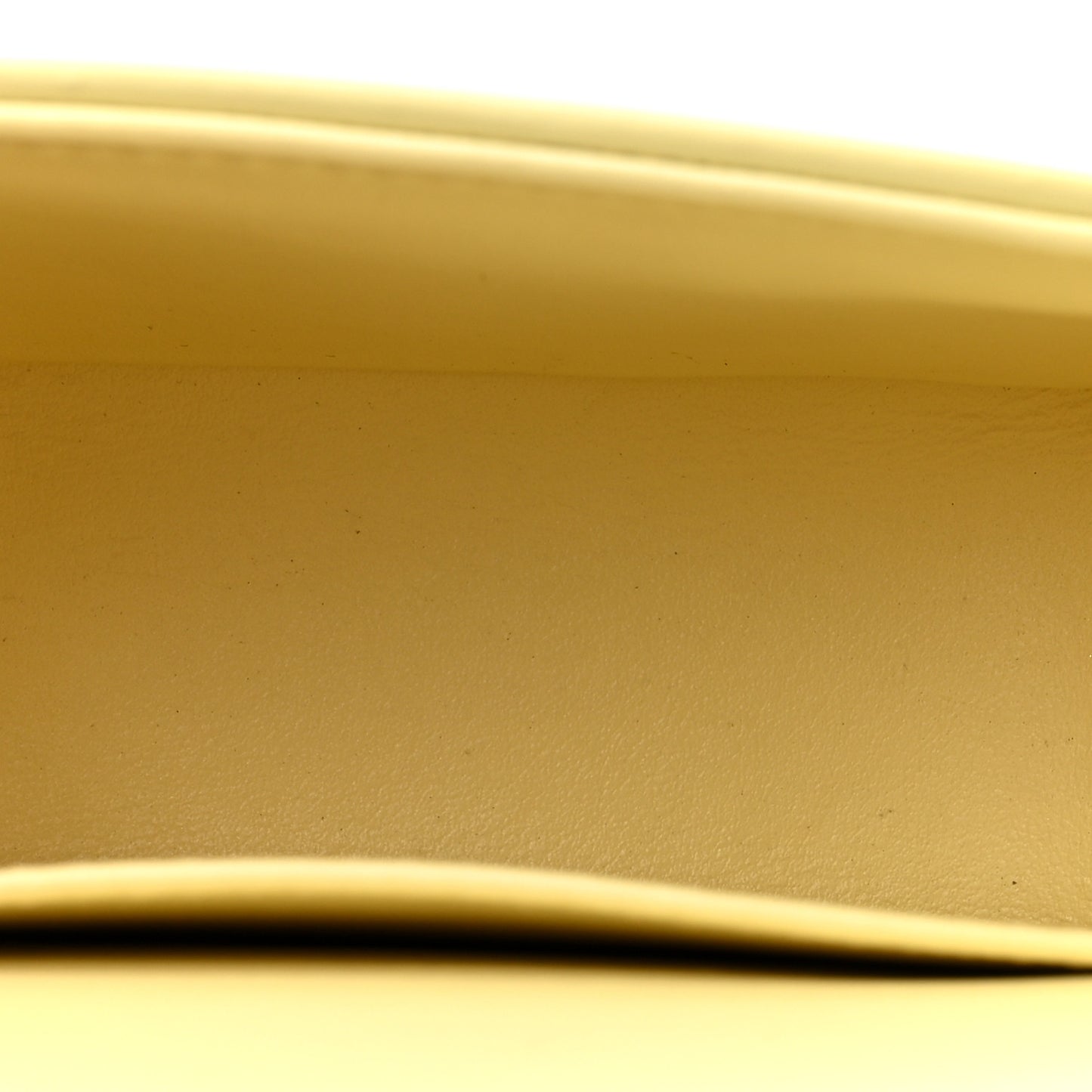 Shiny Calfskin Mini Triomphe Pollen