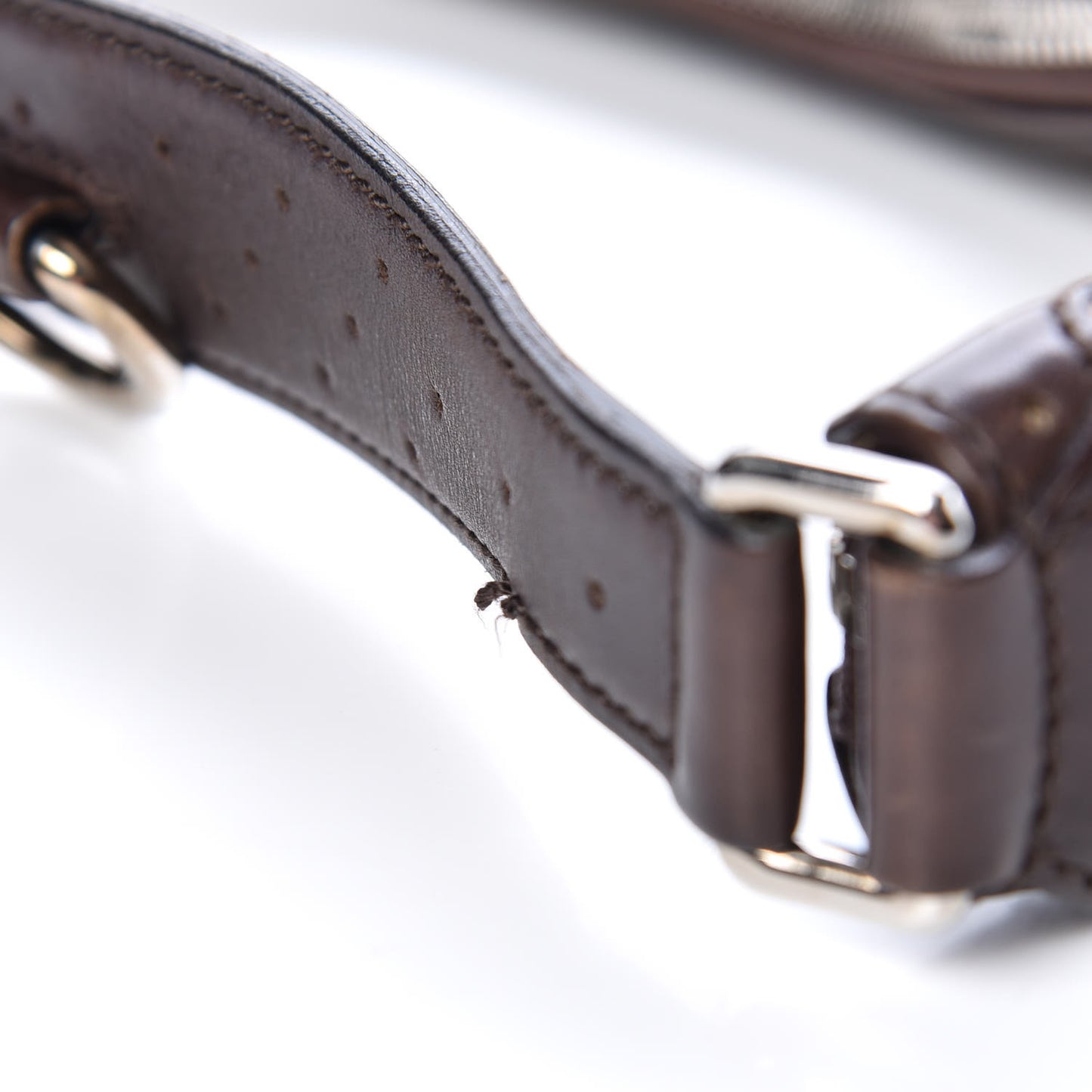 Canvas Web GG Reins Hobo Brown