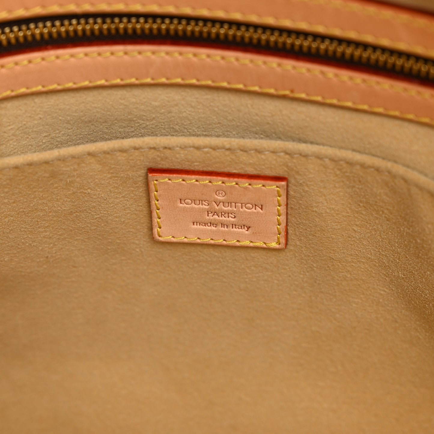 Monogram Sofia Coppola Speedy