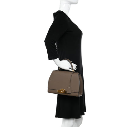 Moynat Taurillon Blush Rejane PM Taupe 2 of 11