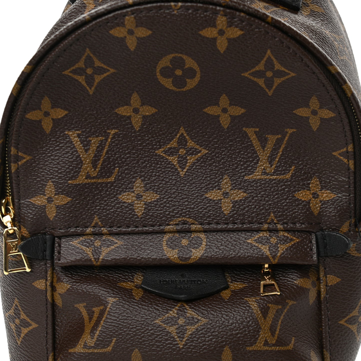 Monogram Palm Springs Backpack Mini