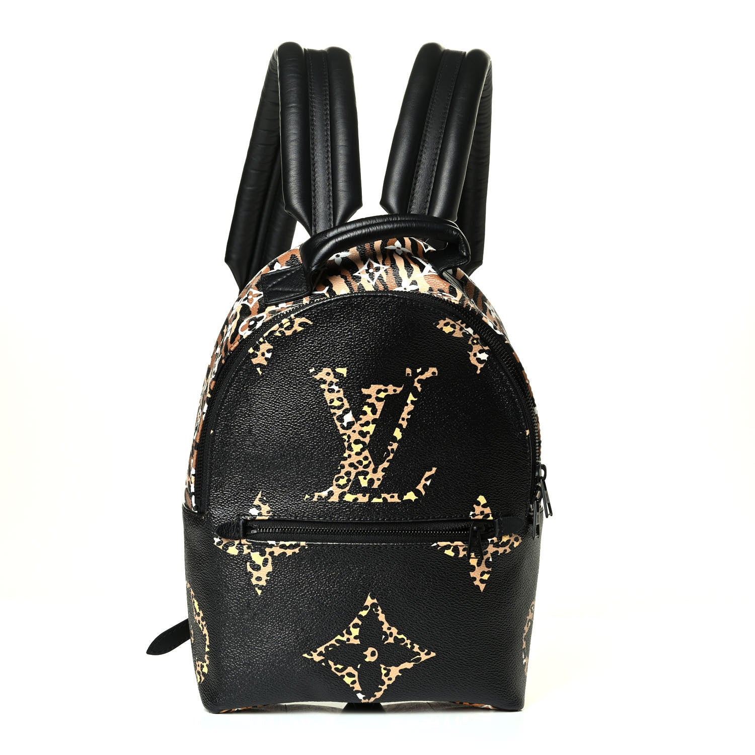 Louis Vuitton Monogram Giant Jungle Palm Springs Backpack PM Black 1 of 5