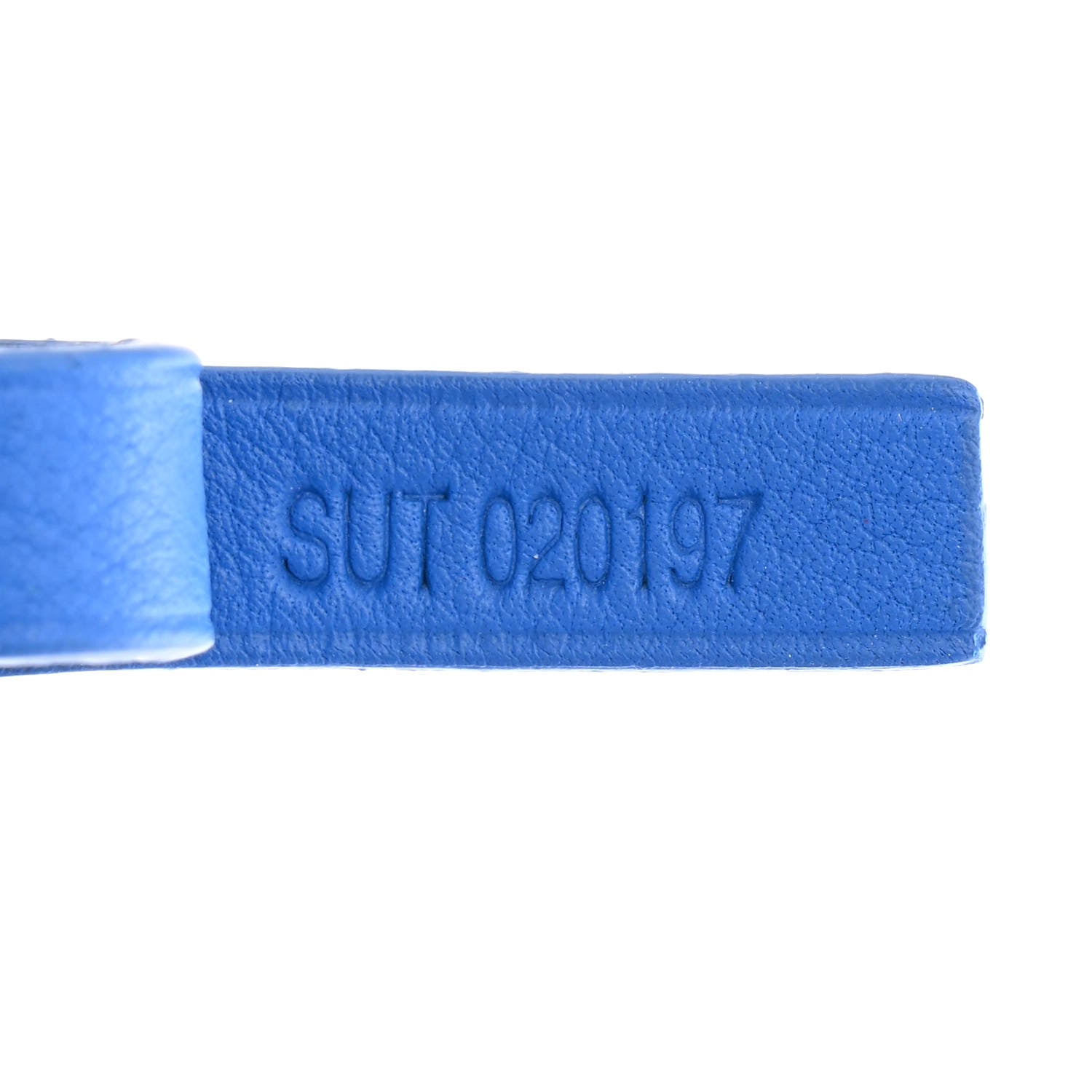 Goyard Goyardine Saint Louis GM Sky Blue 9 of 12