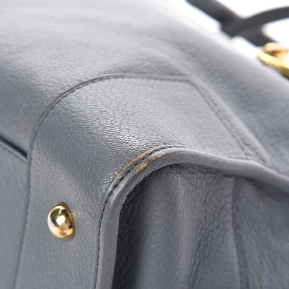 Loewe Calfskin Amazona Grey 10 of 15