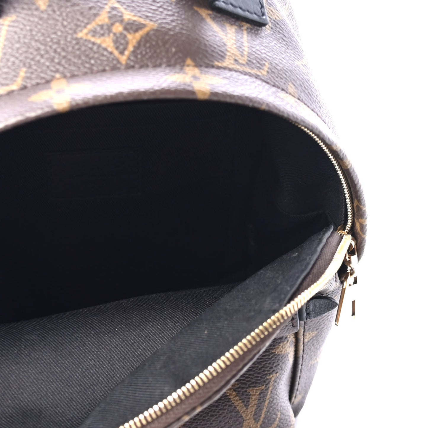Monogram Palm Springs Backpack Mini